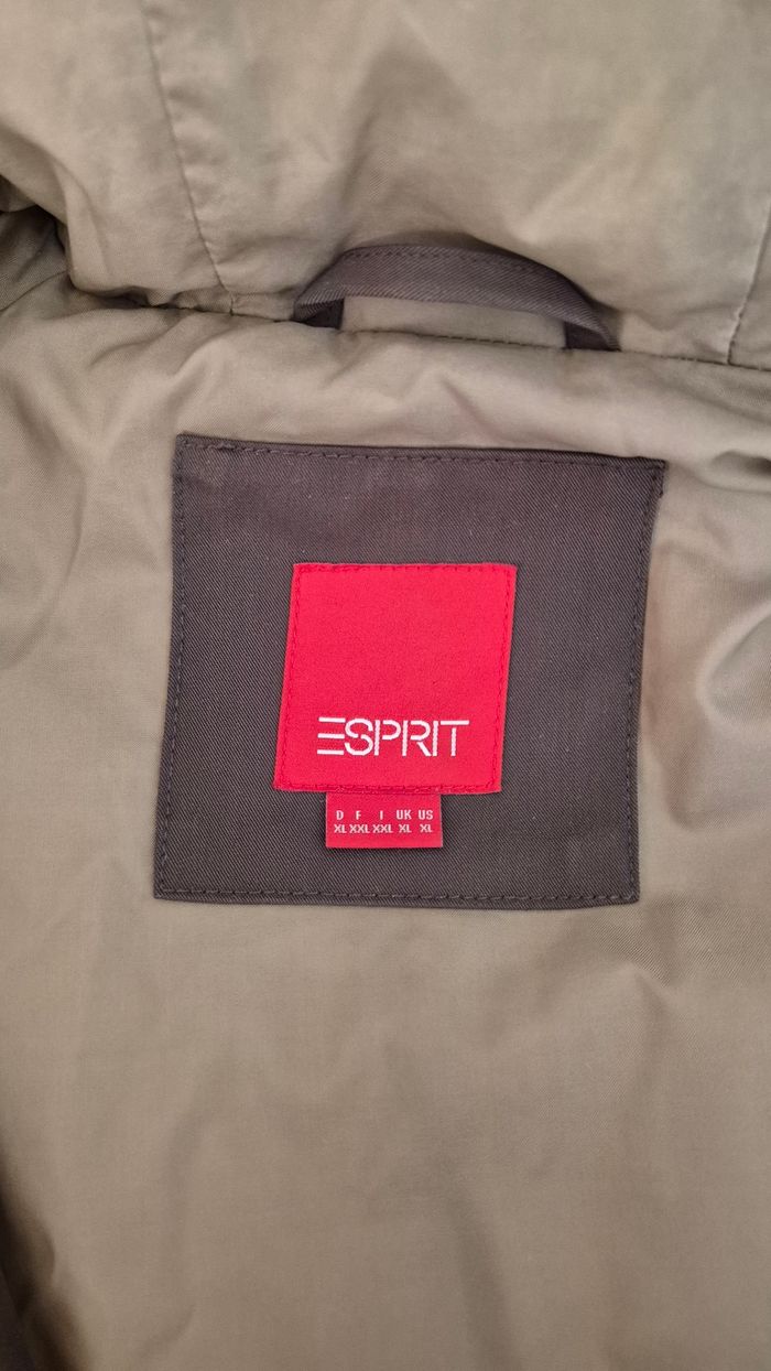 Blouson chaud  Esprit XXL - photo numéro 4