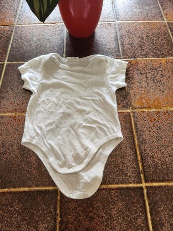 Body manches courtes