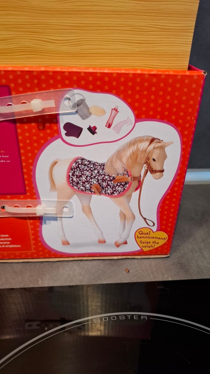 Poulain palomino - photo numéro 5