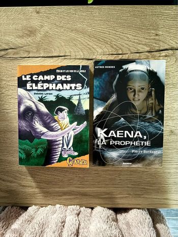 Lot de Livres pour Ados