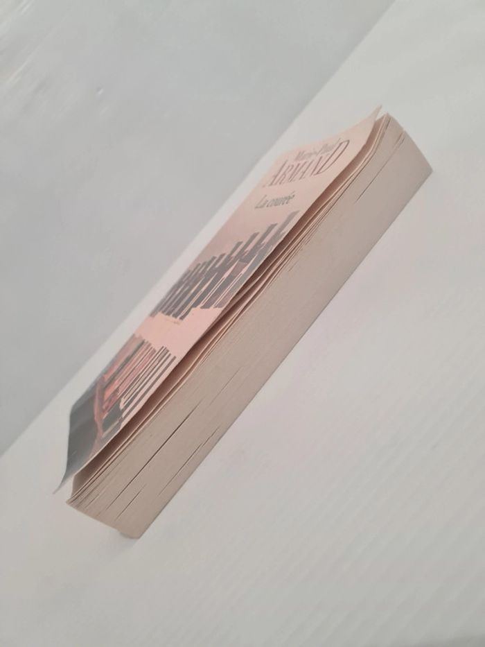Roman "La courée" de Marie-Paul Armand - photo numéro 5