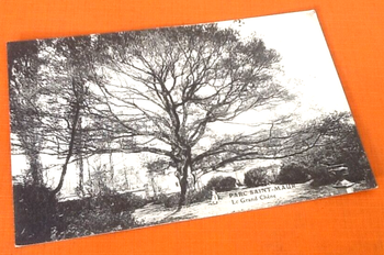 Carte postale ancienne   Saint-Maur (Val-de-Marne) Parc Saint-Maur Le Grand Chêne