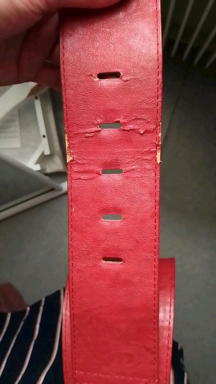 Large ceinture - photo numéro 3