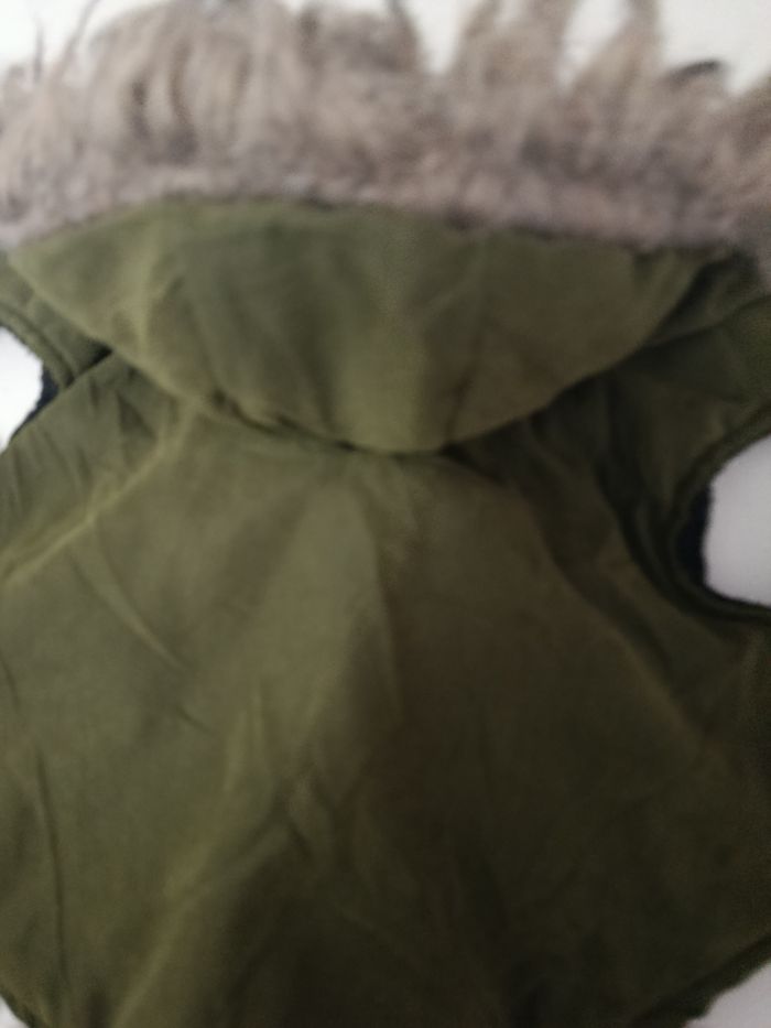 manteau petit chien - photo numéro 5