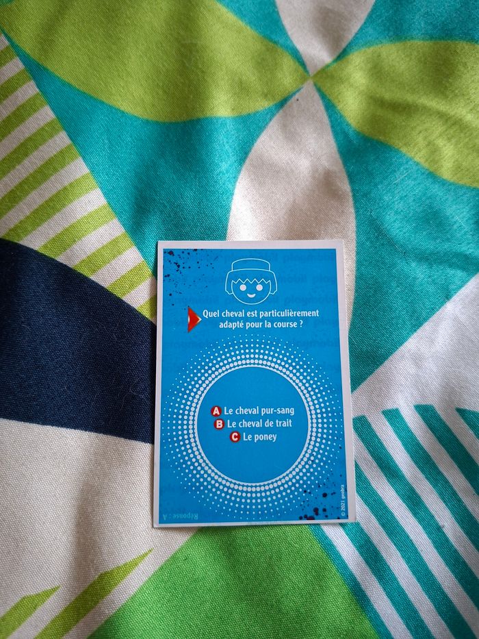 Carte playmobil gymnastique 25 - photo numéro 2