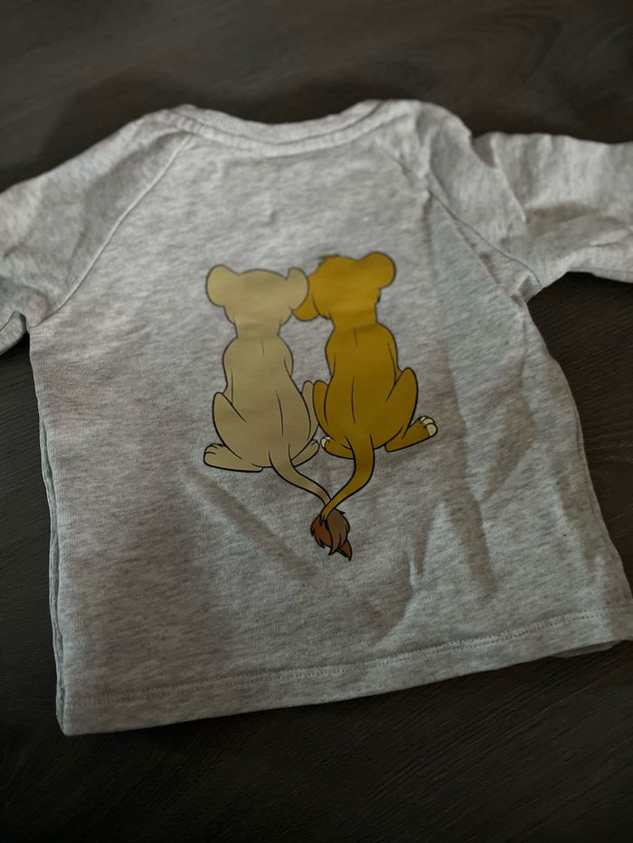 Ensemble Le Roi Lion - photo numéro 3