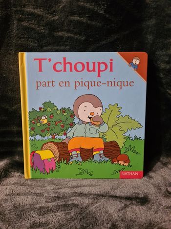 T'choupi part en pique nique 19