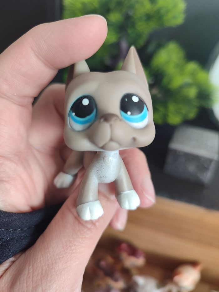 My Littlest Petshop Pet Shop LPS Authentic Authentique dog Great Dane 184 Blue - photo numéro 10
