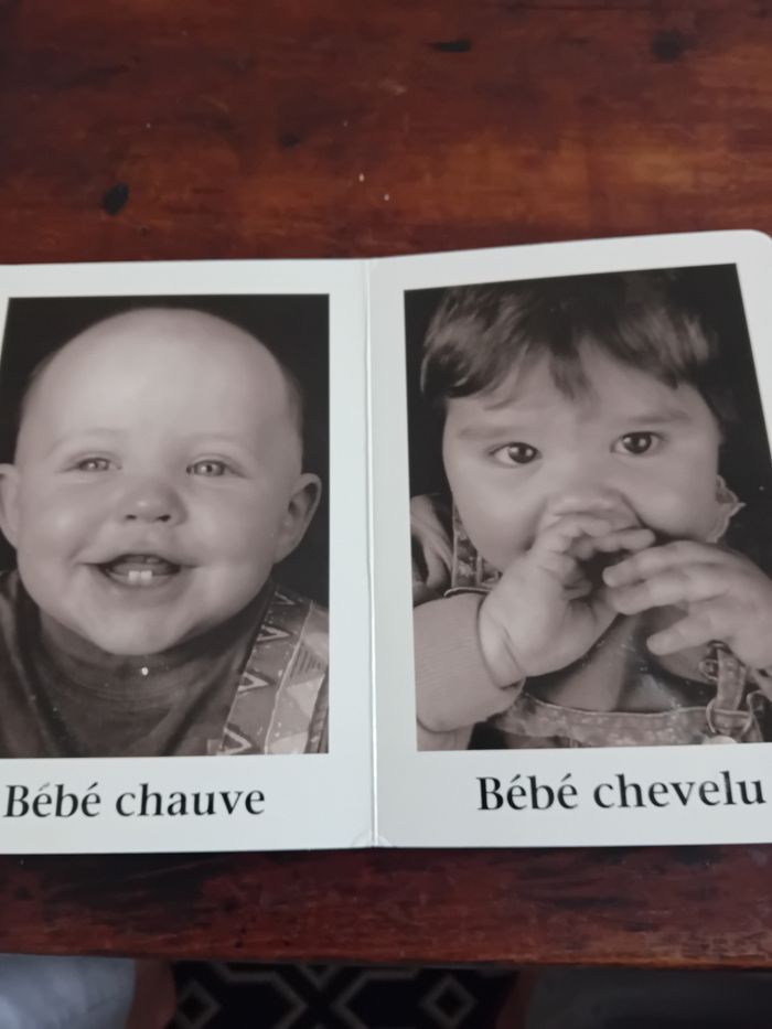 Livre Beaucoup de beaux bébés - photo numéro 2