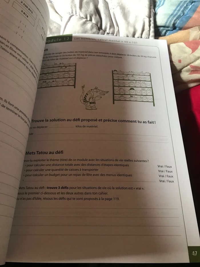 Tatou 5 math plantyn - photo numéro 12