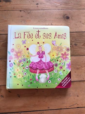 Livre scintillant cartonné argenté La fée et ses amis