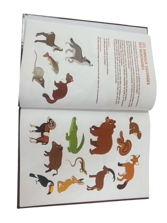 Cherche et trouve à la montagne - photo numéro 3