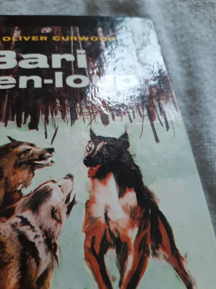 Bari chien-loup - photo numéro 9