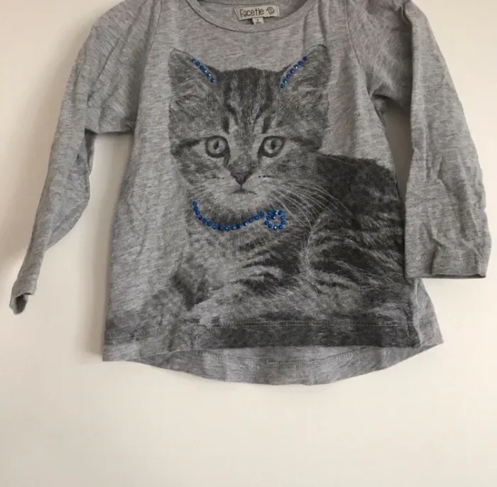T shirt manches longues chat strass 2 ans neuf