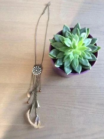 Collier strass et plumes