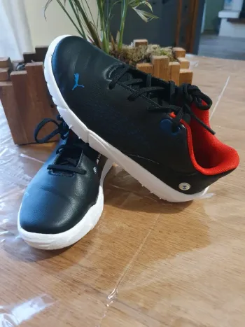 Basket puma