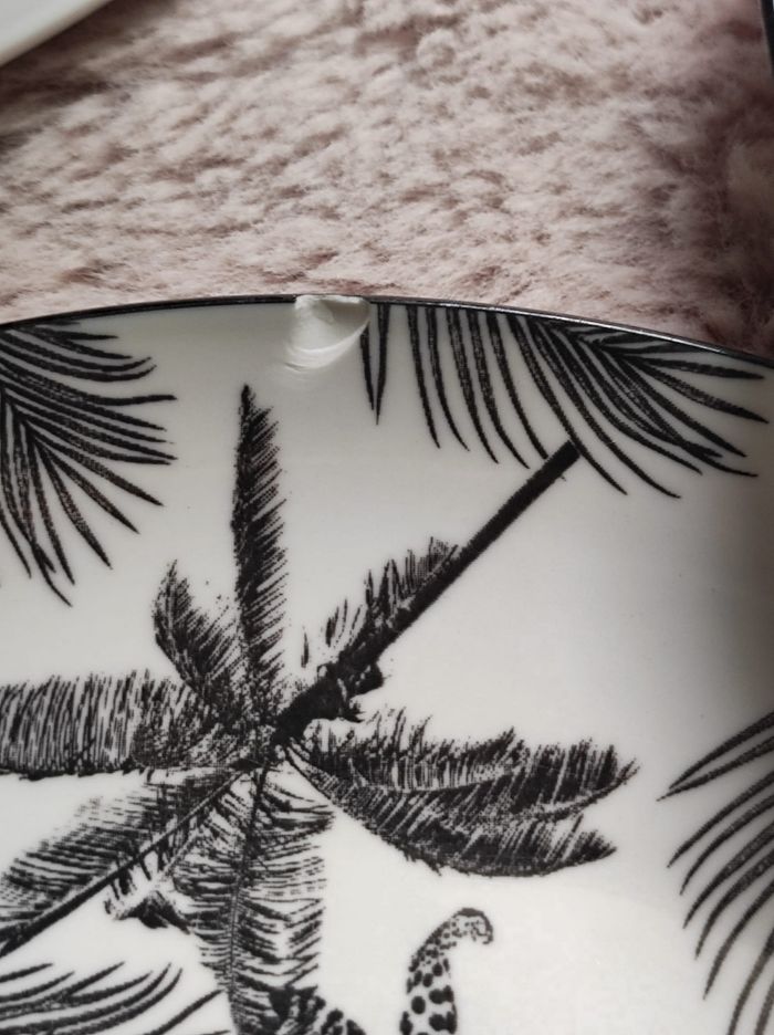Assiettes plates jungle - photo numéro 3