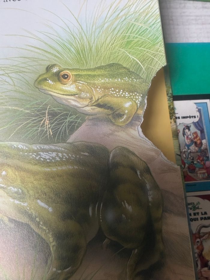 Lit de 4 livres pour enfants - photo numéro 5