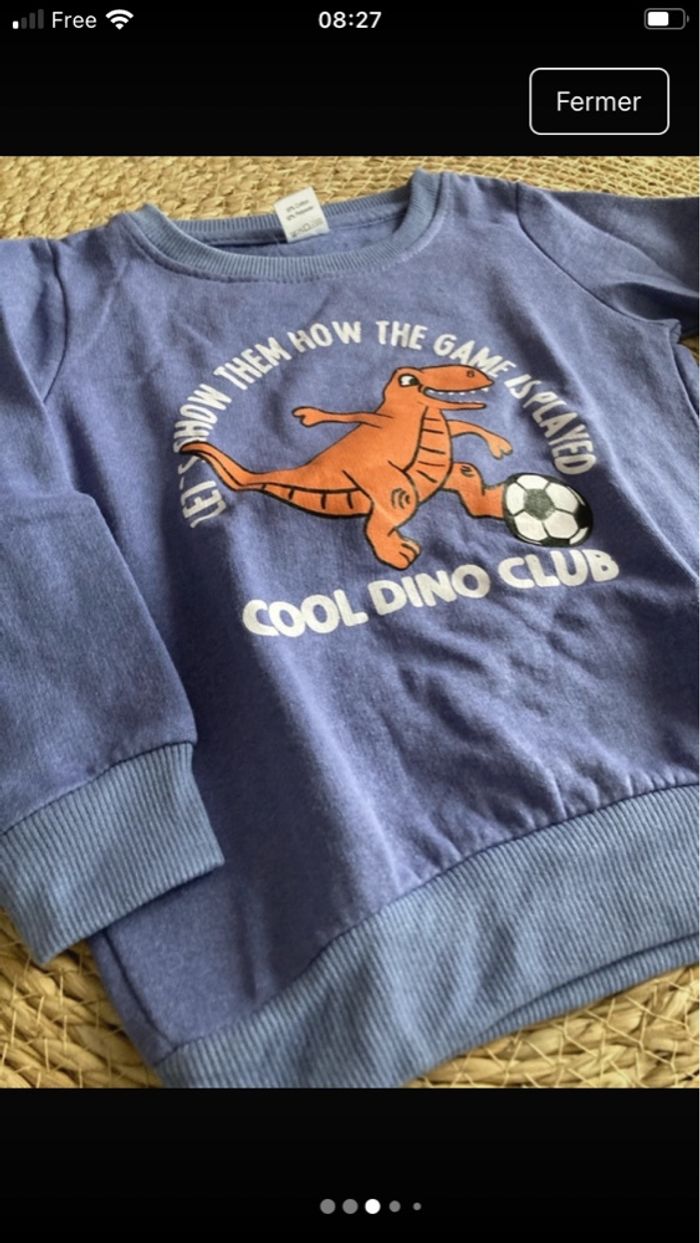 Pull dinosaures - photo numéro 3