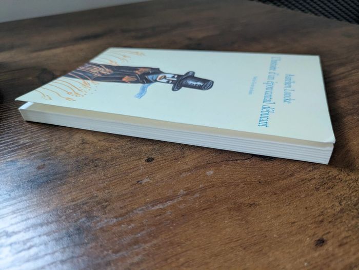 L'histoire d'un épouvantail débutant - photo numéro 3