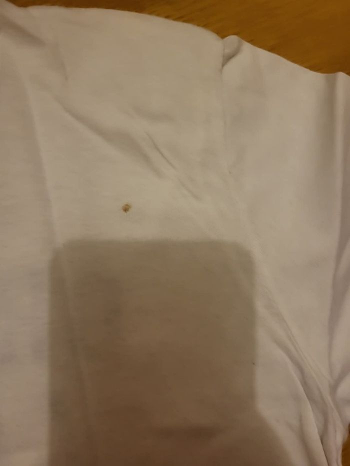 t-shirt - photo numéro 2