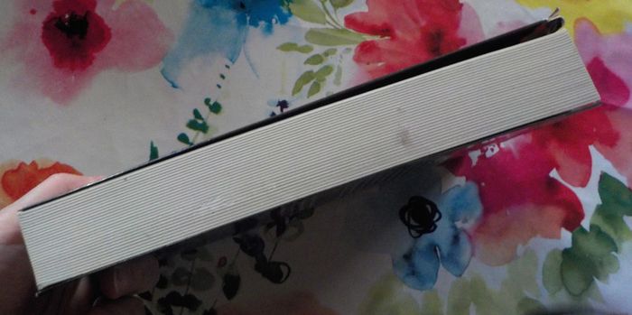 Suite française d'Irène Némirovsky Ed. Denoël - photo numéro 4