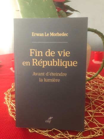 Fin de vie en république - Avant d’éteindre la lumière - Erwan le Morhedec