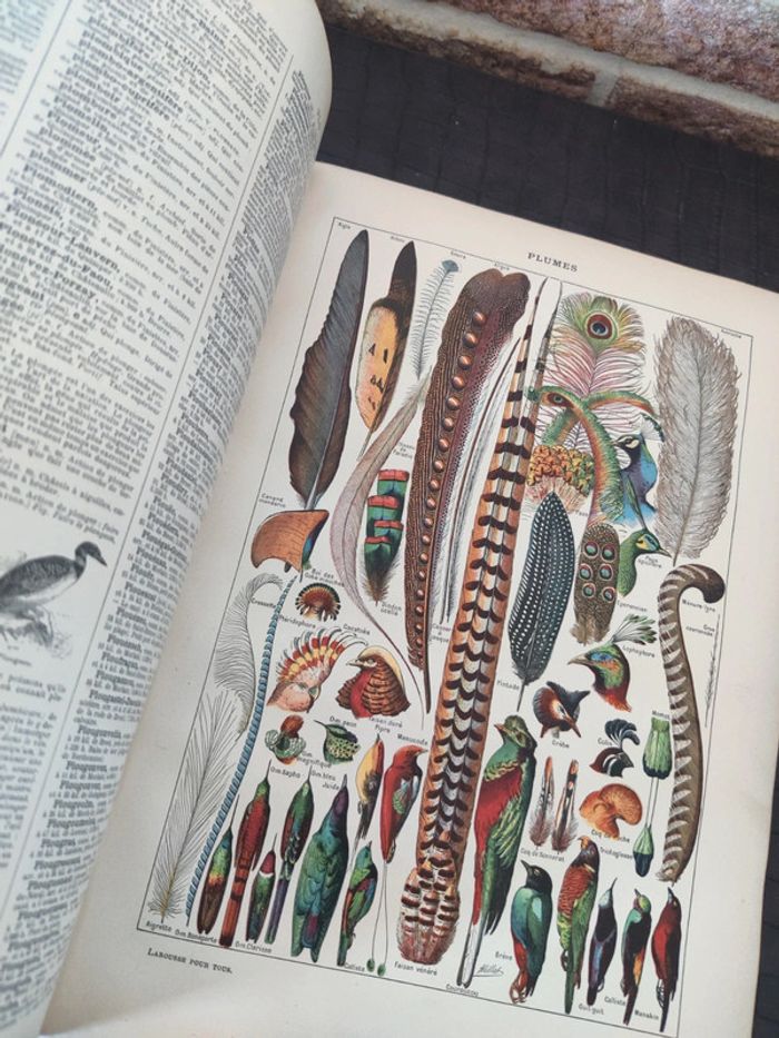 Encyclopédie Larousse illustré - Livre ancien - photo numéro 16