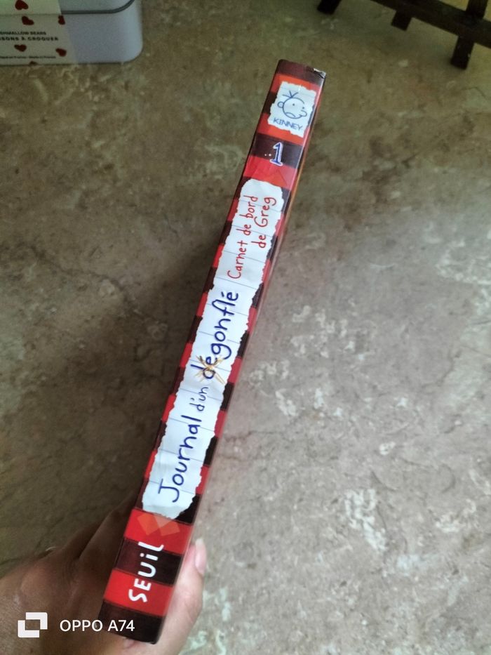 Livre 🧡 Journal d un dégonflé - Carnet de bord de greg - photo numéro 2