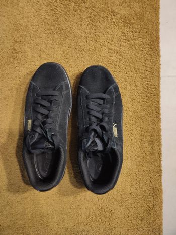 Puma 36