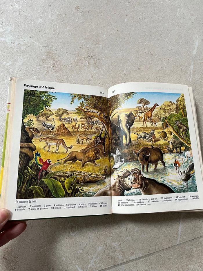 Dictionnaire junior collège Hachette illustré - photo numéro 4