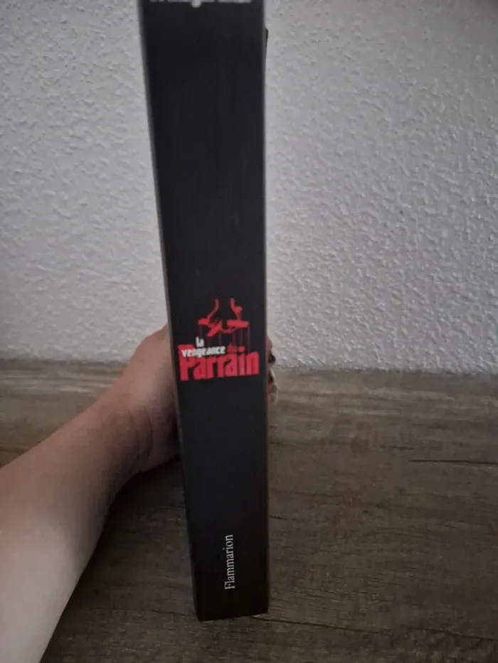📚 livre la vengeance du parrain - photo numéro 6