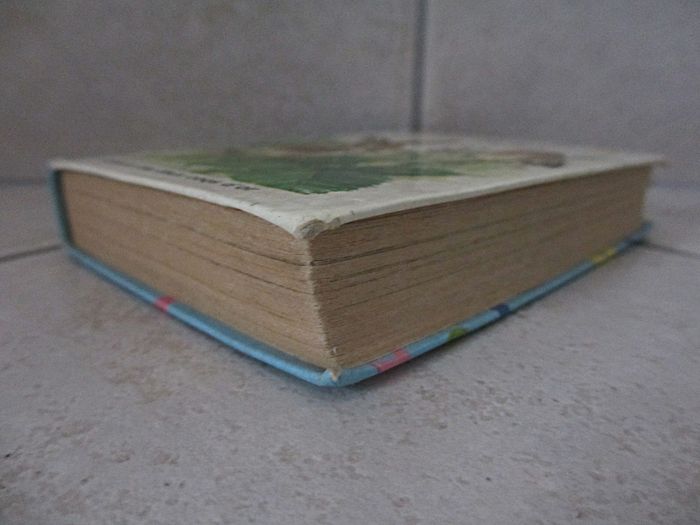 Livre enfant Les Animaux du Petit Bois – Anne-Marie Dalmais - photo numéro 6