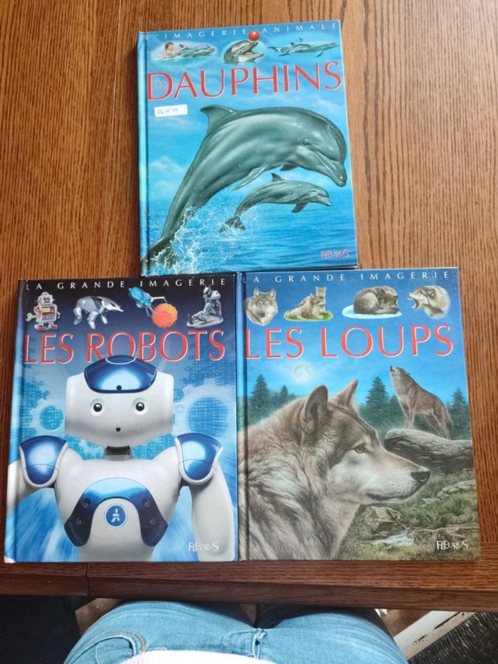 Livres la grande imagerie