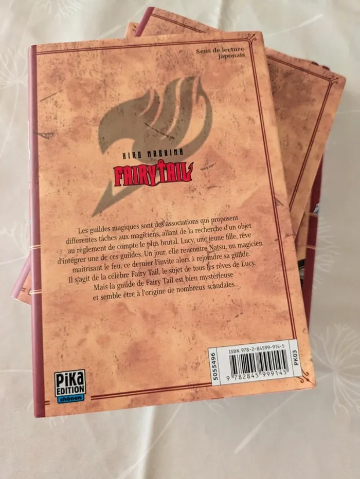 Manga Fairy Tail tome 1 - photo numéro 2