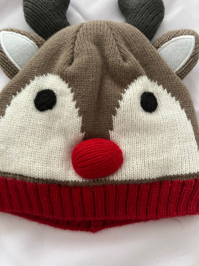 Bonnet cerf - photo numéro 2