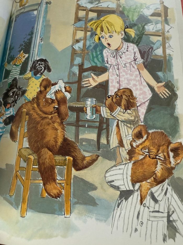 TBE - Livre édition limitée reliure rouge Caroline et Boum ermite Pierre Probst bd - photo numéro 6