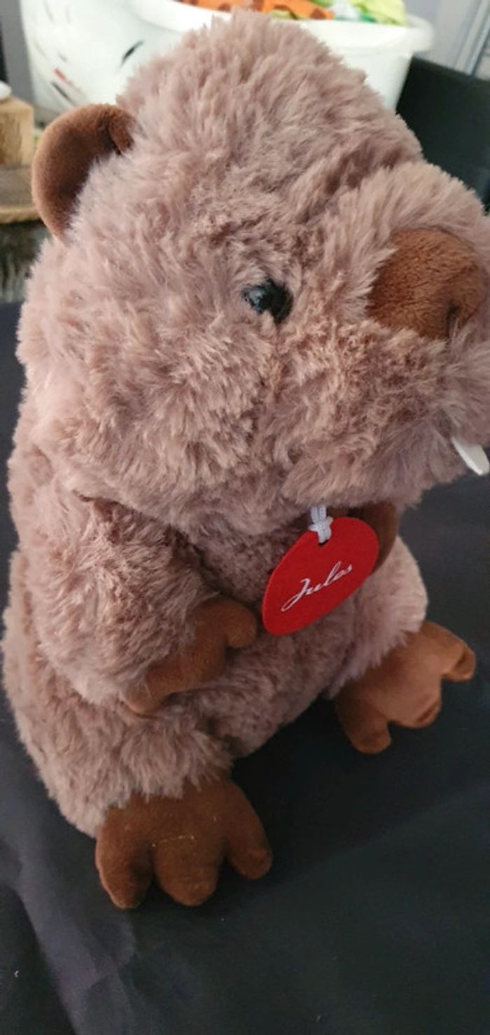 Peluche castor - photo numéro 2