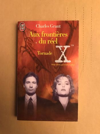 Aux frontières du réel