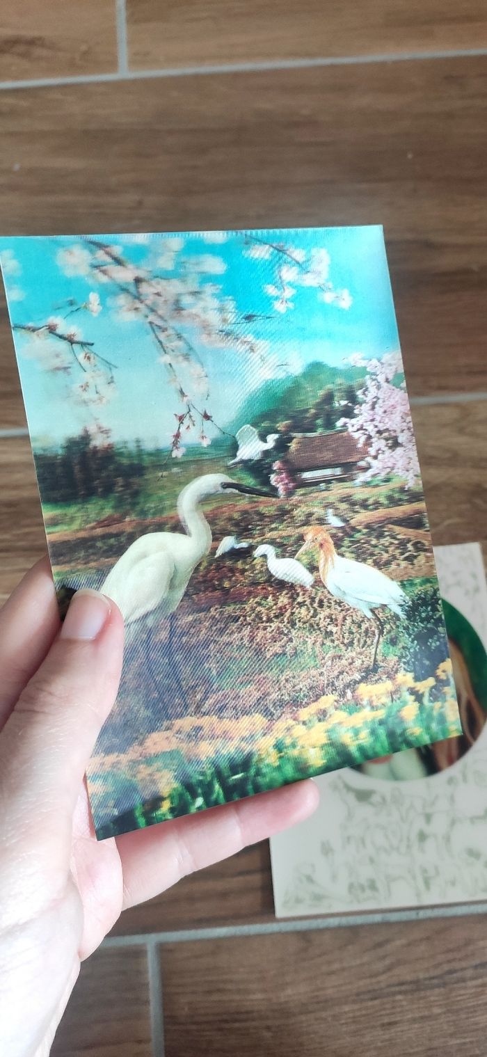 Lot de cartes 3d vintage - photo numéro 2