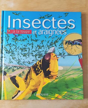 Livre Insectes et araignées