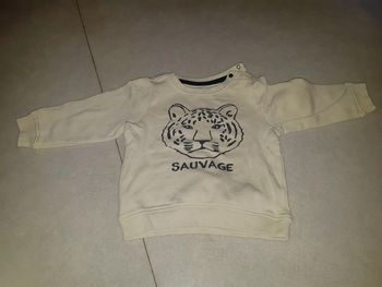 Pull sauvage t. 18 mois