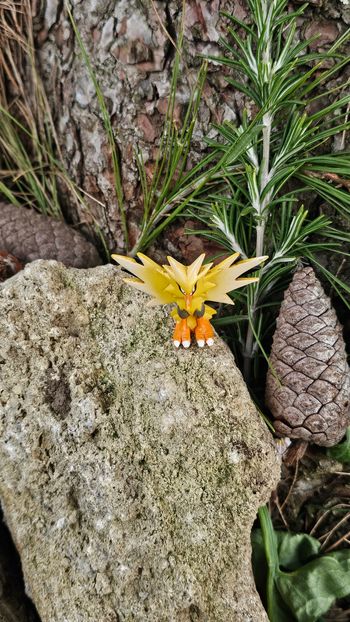 Super figurine Pokemon Nintendo tomy C.G.T.S.J Elector 