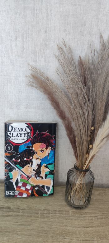 Demon slayer 1