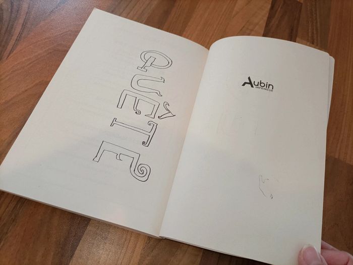 Livre La quête de l'épée de diamant Minecraft - photo numéro 11