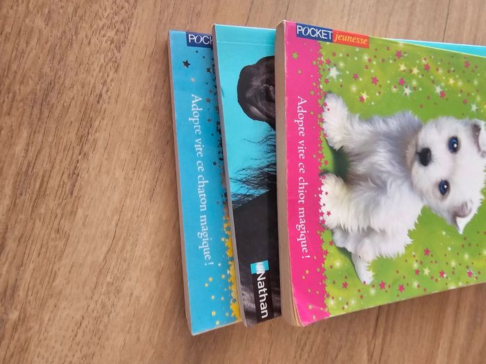 Livre chiots, chatons magiques / poney club enfant - photo numéro 14