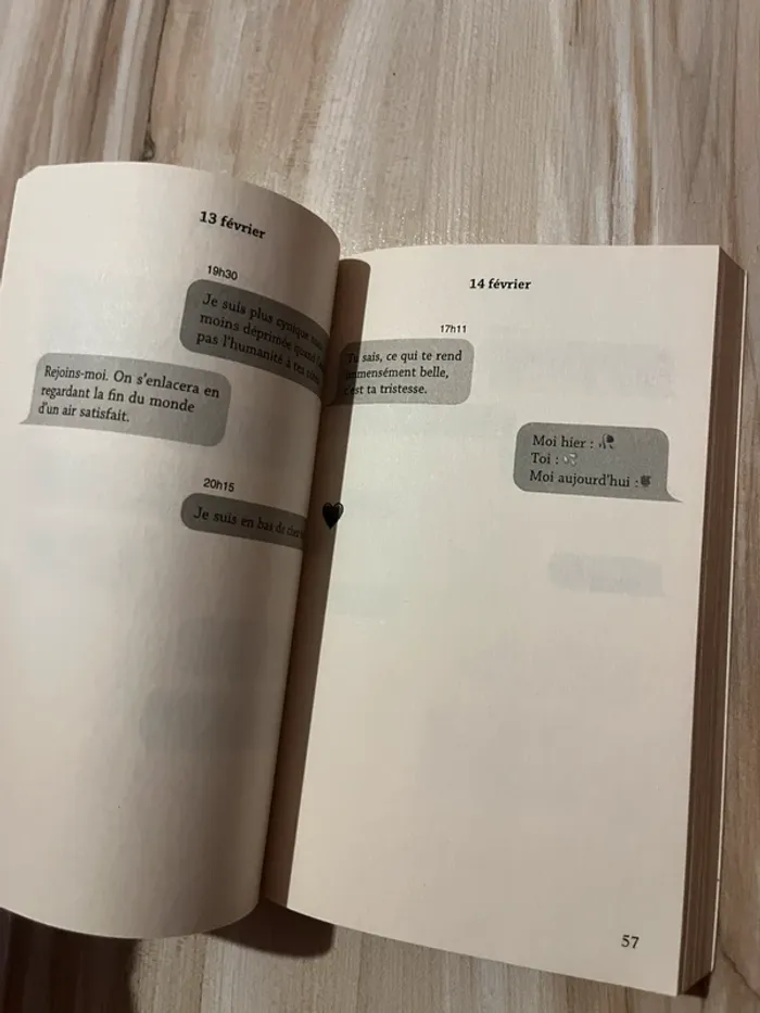 livre amours solitaires morgane ortin - photo numéro 2