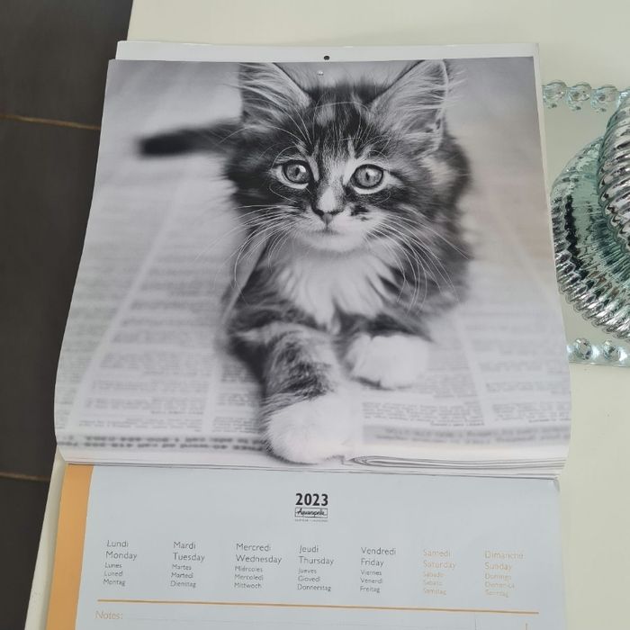 Calendrier chats 2023 - photo numéro 2
