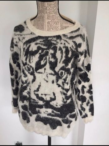 Pull tigre