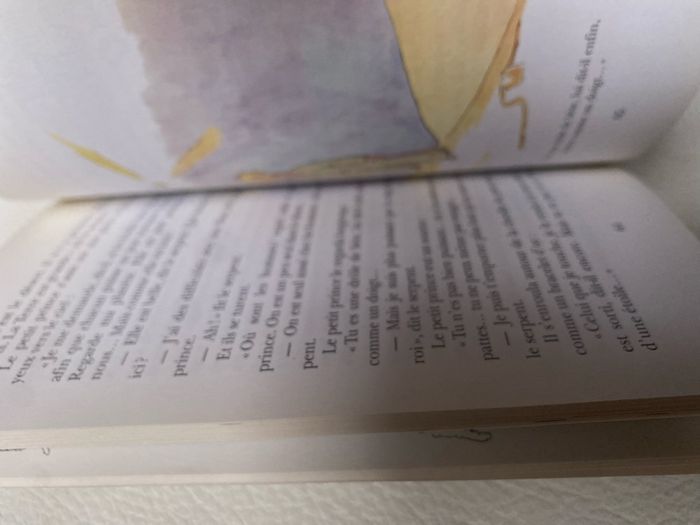 Livre le petit prince Antoine de Saint-Exupéry Folio - photo numéro 5